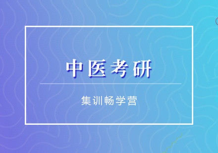 中医考研辅导集训畅学