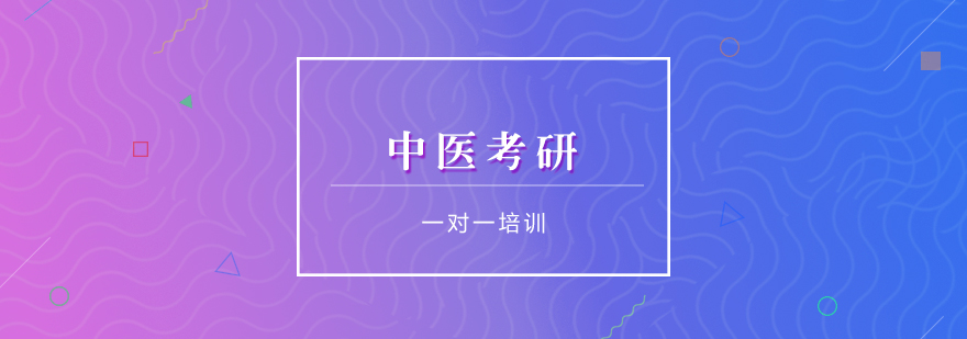 中医考研一对一培训