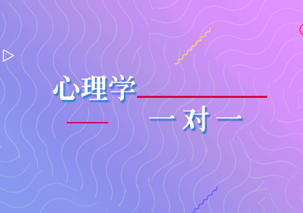 心理學(xué)考研一對一輔導(dǎo)