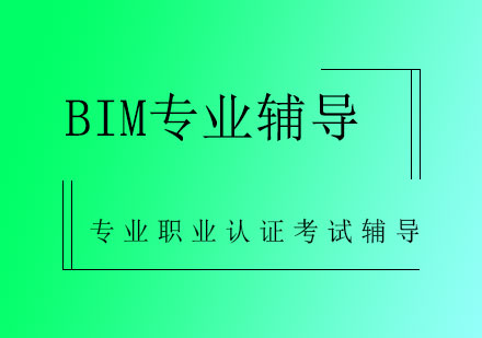 BIM专业辅导