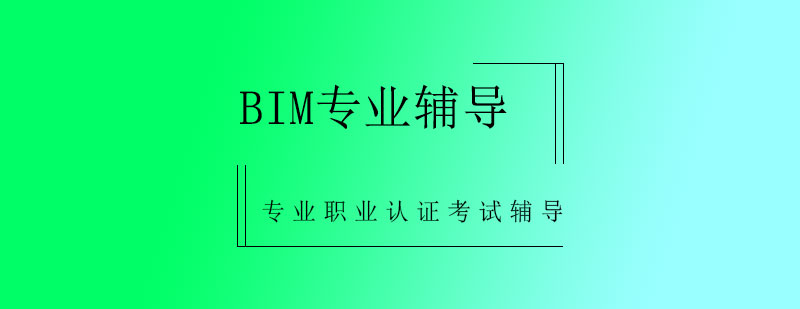 BIM专业辅导