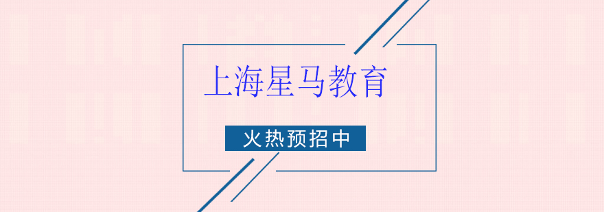 星馬教育課程體系