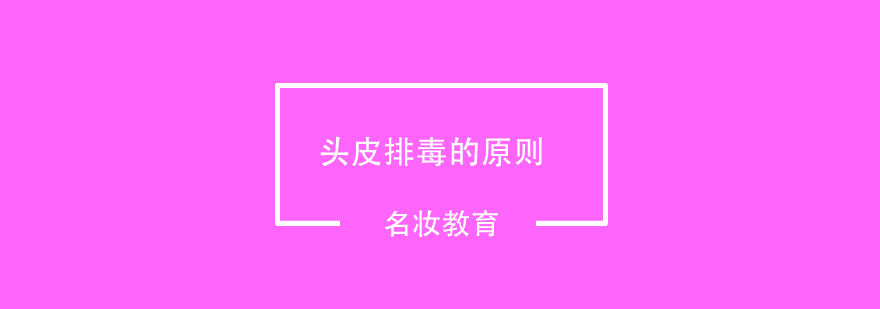 不同头皮类型对比分析