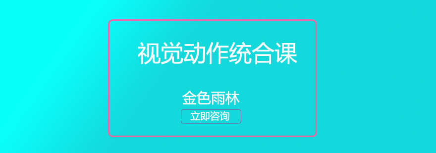 视觉动作统合课