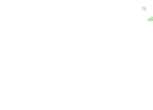学员课堂实景