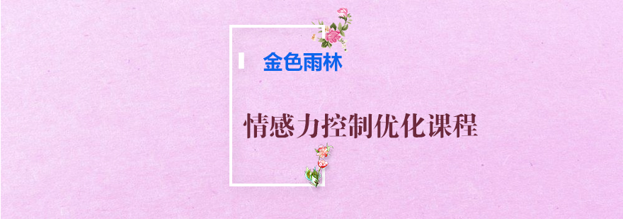 情感力课程实景