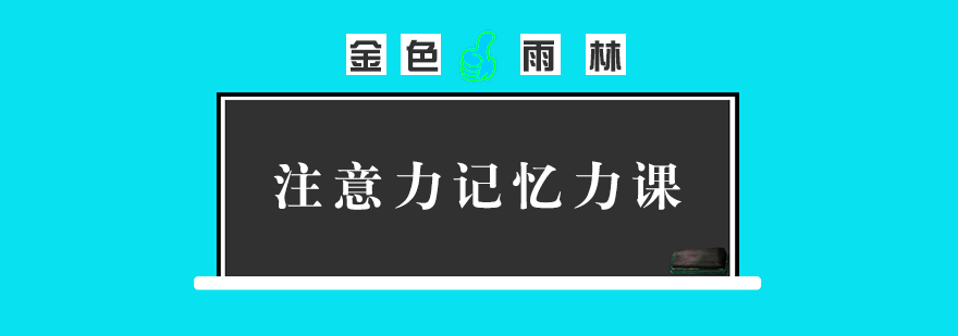 注意力记忆力课