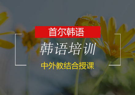 韩语称呼完全指南：从당신到职位称谓的正确用法解析