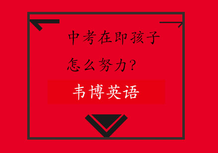 中考高效备考指南：突破低效学习困境