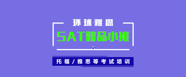 SAT小班教学实景