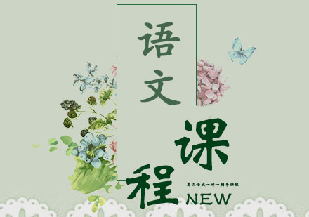 高三语文一对一辅导课程