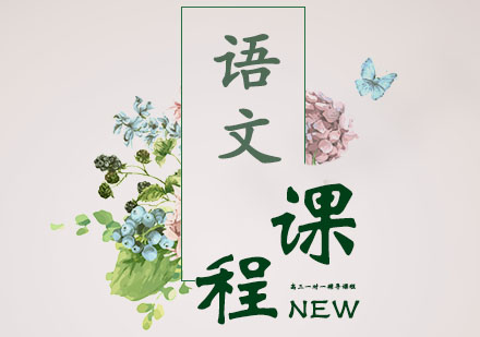 高三一对一辅导课程