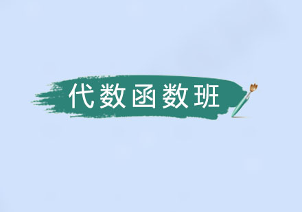 高三数学代数幂、指、对函数辅导课程