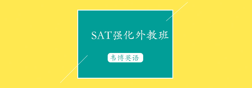 SAT外教授课场景