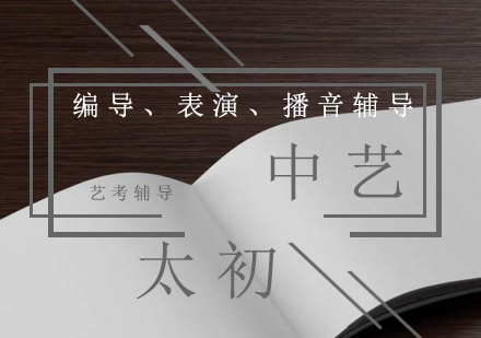 北京中艺太初艺考培训特色解析