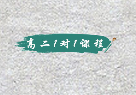 高二数学一对一辅导课程
