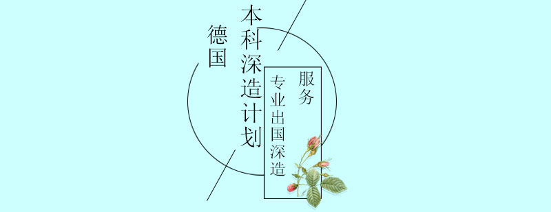 德国高等教育体系解析