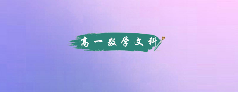 文科数学定制化教学
