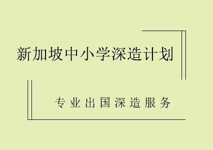 新加坡中小学深造计划