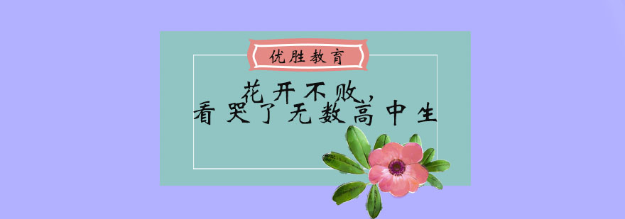 花开不败看哭了无数高中生