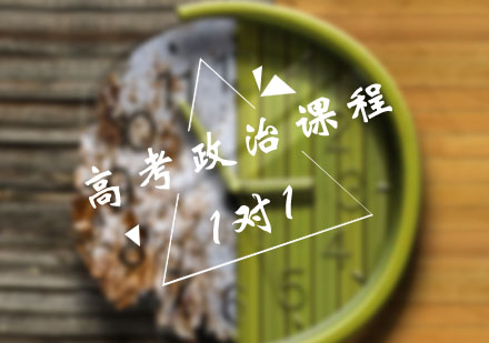 高考政治一对一辅导课程