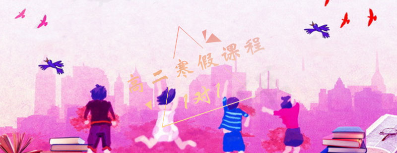 政治学科重点解析