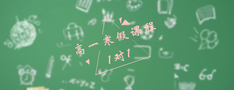 政治寒假特训课程