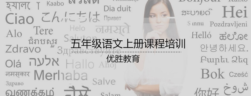 五年级语文上册课程培训