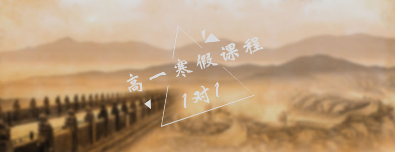 历史寒假课程