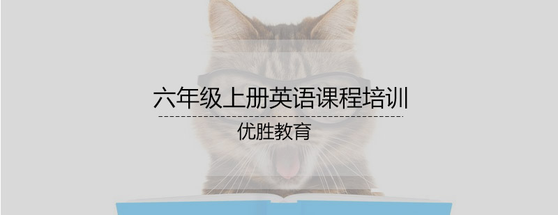 六年级上册英语课程培训