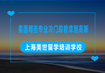 美国留学冷门高薪专业深度解析