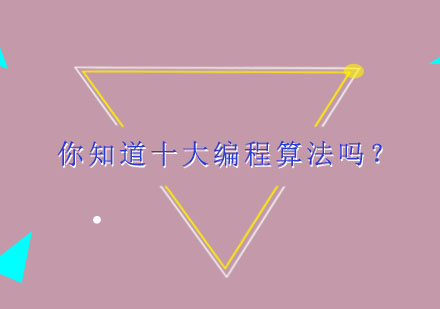 编程核心算法深度解析与实战应用指南