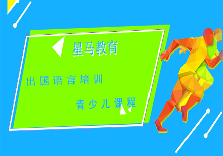 上海星马教育深度解析：课程特色与教学实力