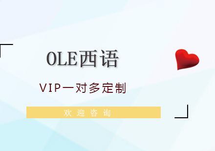 西班牙語VIP一對多定制課程