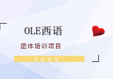 西班牙語團(tuán)體培訓(xùn)