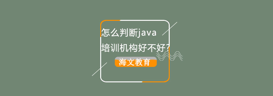 Java教学团队