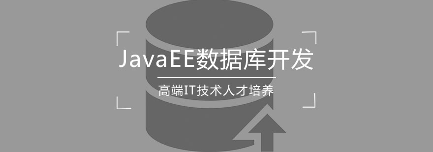 数据库开发项目实战