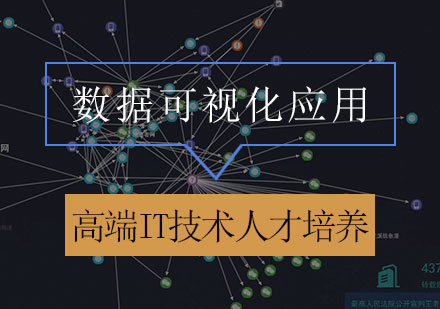 数据可视化应用课程