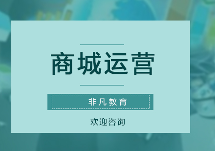 商城運(yùn)營(yíng)高級(jí)培訓(xùn)課程