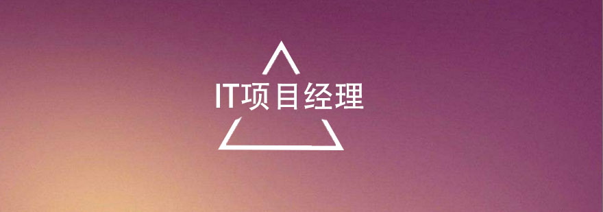 技术型项目经理工作场景