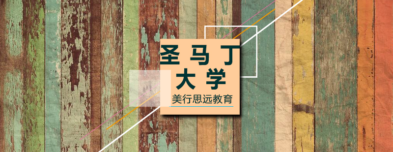 圣马丁大学课程解析