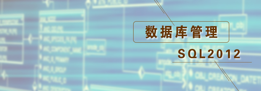 数据库管理实践教学