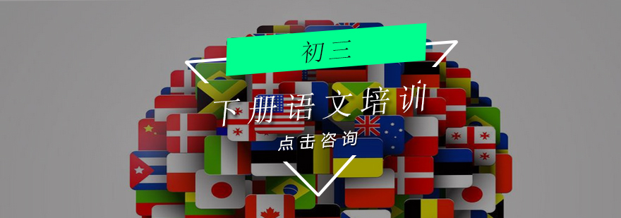 初三语文下册培训