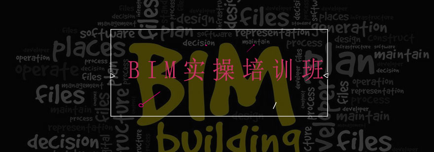 BIM软件操作实训现场