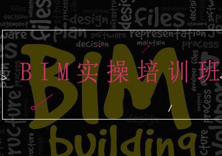 BIM实操培训班