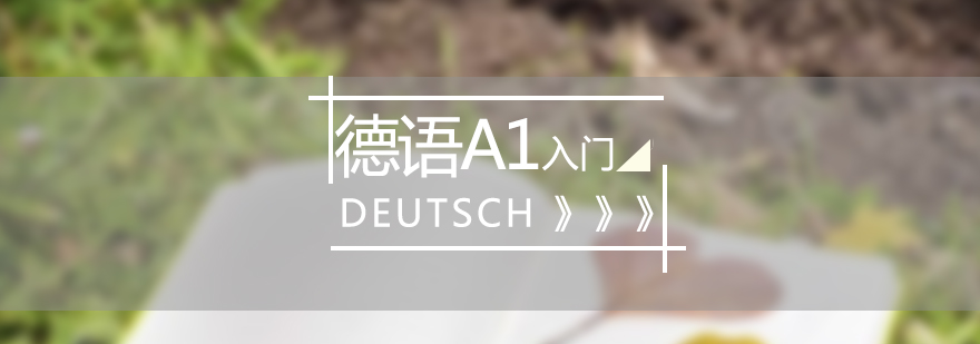 德語A1課程教學(xué)實景