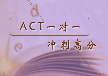 ACT冲刺高分一对一课程