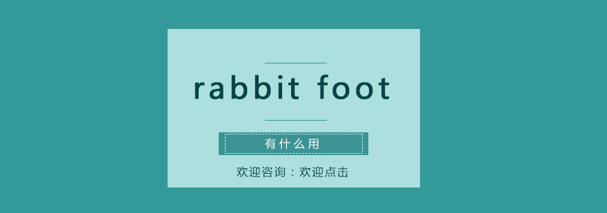 rabbitfoot有什么用
