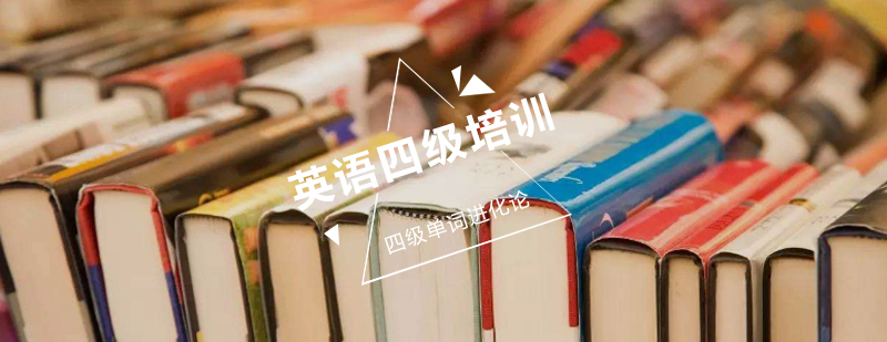 四级词汇记忆系统