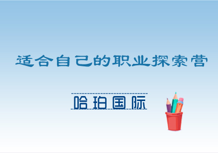职业探索深度解析